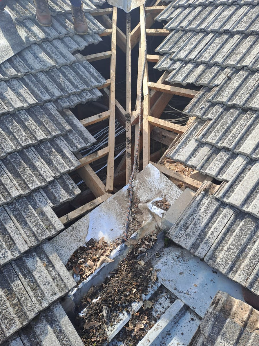 Roof Maintenance