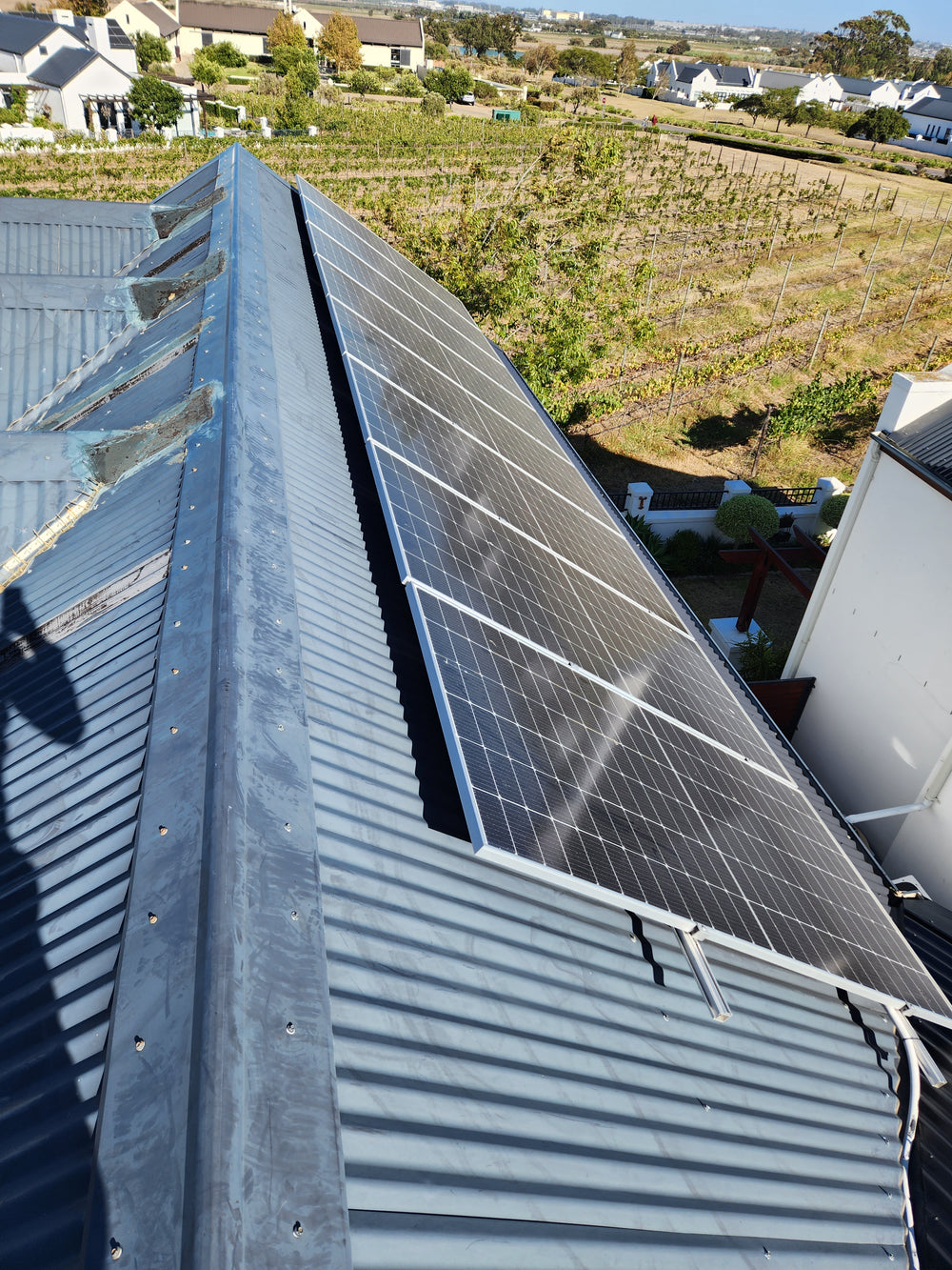 Solar Panel Cleaning