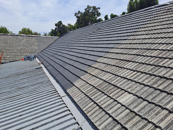 Roof Painting