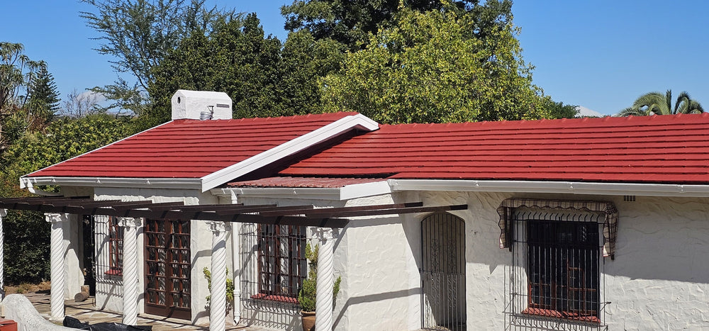 Painting Roof