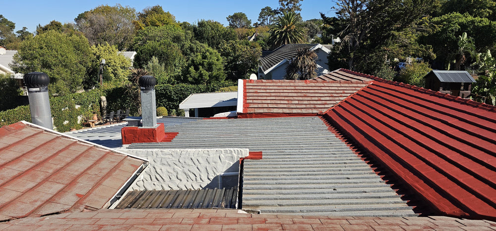 Painting Roof